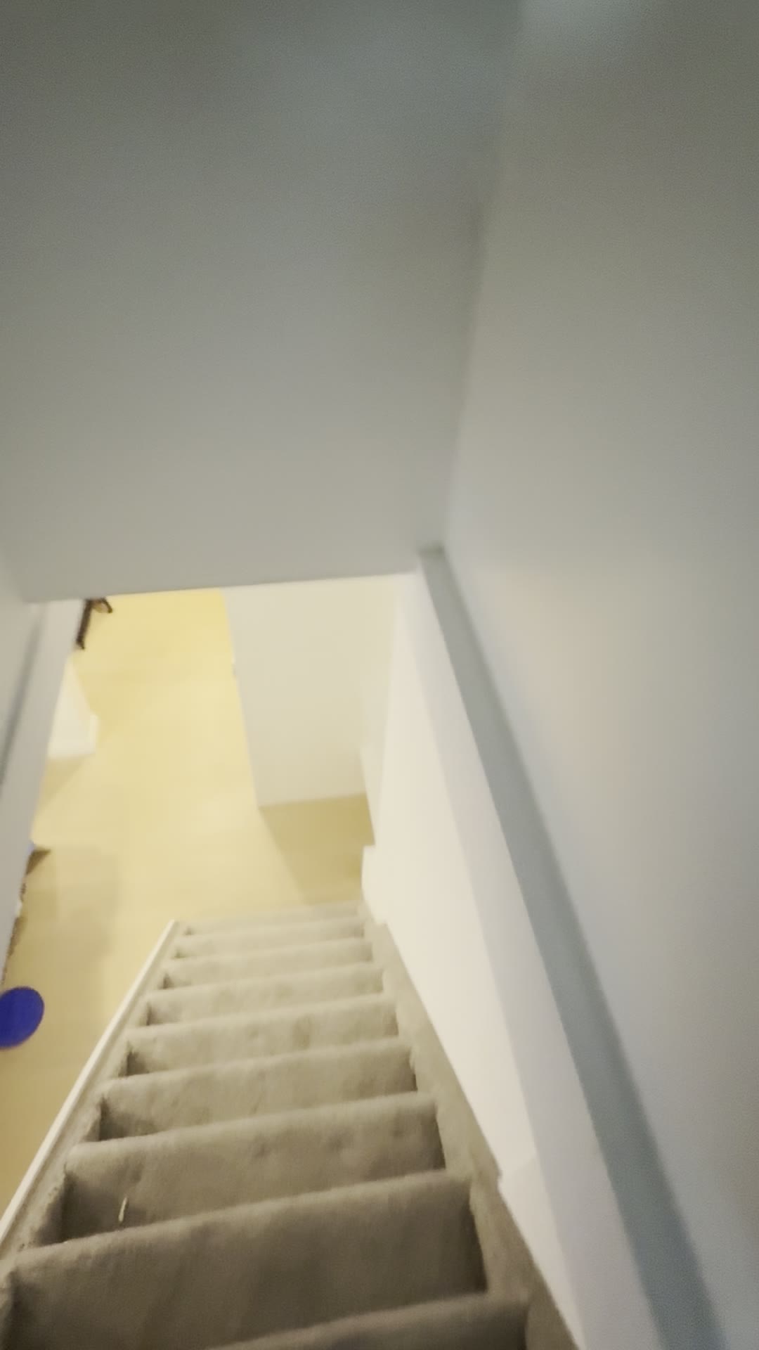 After — finished basement walkthrough highlighting flooring, paint, trim, and repairs.